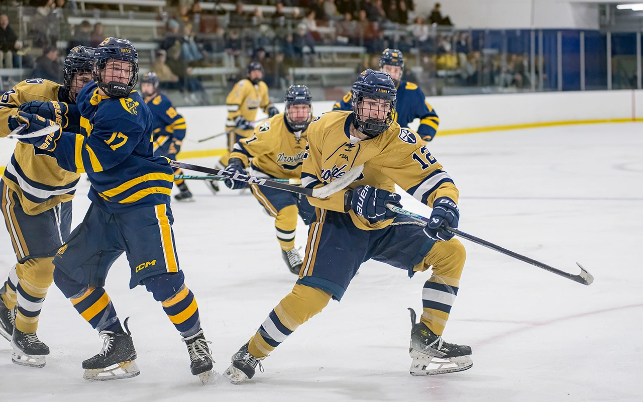 Providence high school hockey players battle physically along the ice with a packed crowd in the background — Minnesota hockey photography